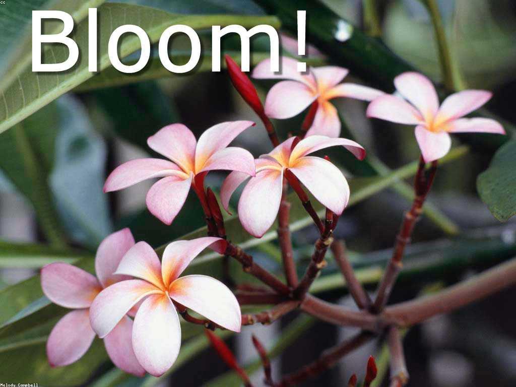 ការពិចារណាជារបៀបដើម្បីជោគជ័យ